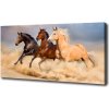 Foto obraz na plátne Kone v cvale 100x50 cm