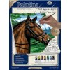 Royal & Langnickel Maľovanie podľa čísel Kôň