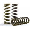 HINSON Súprava pružín spojky Hi-Temp HINSON CS264-3-0409 (set of 3)