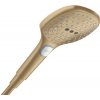 HansGrohe Raindance 26520140