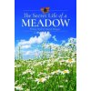 The Secret Life of a Meadow (Wall Wilson)