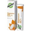 MAGNESIUM 250 mg PHARMAVIT tbl eff 20 ks