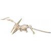Woodcraft Dřevěné 3D puzzle Pteranodon