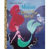 Part of Your World (Disney Princess)