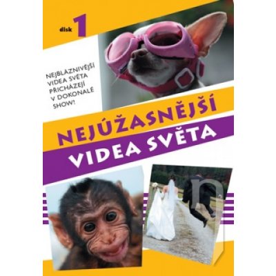 Najúžasnejšie videá sveta 01