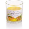 Bartek Candles Mango Pineapple 90g