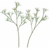 FlowerPower Vetvička Gypsophila, biela/krémová 57 cm, 1 ks
