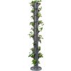 Gusta Garden Sissi Strawberry Infinity samozavlažovací kvetináč, 10 poschodí, antracit GG-101529