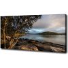 Foto obraz na plátne Strom nad riekou 100x50 cm