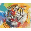 zuty Zuty - Maľovanie Podľa Čísel - Tiger A Farby Pohľad (D. Rusty Rust), 40X50 Cm, Plátno+Rám (8596530187530)