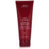 Aveda Color Control Conditioner 200 ml ochranný kondicionér pro barvené vlasy pro ženy