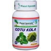 Planet Ayurveda GOTU KOLA 60 kapsúl – posilňuje mozog a nervovú sústavu