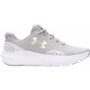 Under Armour UA GGS Surge 4 3027108-100