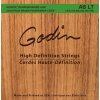 GODIN Strings Acoustic Guitar LT