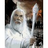 Zuty - Gandalf portrét (pán prstenů), 40×50 cm, bez rámu a bez vypnutí plátna (8596530237884)