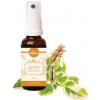 ACTIVSTAR ACTIV BOSWELIA SPRAY 50 ml