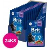 BRIT Cat Adult Premium kapsička Cod Fish 24x100g