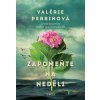 Zapomeňte na neděli - Valérie Perrin - online doručenie