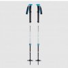 Black Diamond Expedition 2 Pro Ski Poles 155 cm; Šedá hole