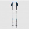 Black Diamond Expedition 2 Pro Ski Poles 155 cm; Šedá hole