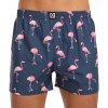 Horsefeathers Manny Blue/ Flamingos Print