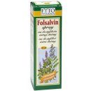 Ústny sprej Folsalvin spray na dezinf.ústní dutiny 30 ml Fytoph