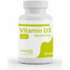 Lekáreň v KOCKE Vitamín D3 lipozomálny 60cps Lekáreň v KOCKE, výživový doplnok pre podporu imunity a vitality (60 kapsúl)