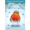 Příběhy se šťastným koncem Zasněžená červenka - Mary Kelly