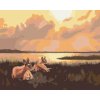 Zuty – Maľovanie Podľa Čísel – Ležiace Srny A Východ Slnka (D. Rusty Rust), 40 × 50 cm, Plátno 8596530167440