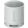Sony SRS-XB100 Grey Prenosný reproduktor