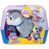 Little Live Pets Ouchies Husky ASPEN Interaktívna hračka 50 zvukov a reakcií