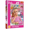 Trefl Zoznámte sa s Barbie 41x27 5cm v krabici 19x29x4cm 100 dielov