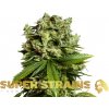 Super Strains - GG4 (Gorilla Glue) 10 ks - Semená neobsahujú THC