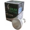 Econlux Lampa UVB 35W HID Spot Solar Raptor