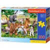 Castorland ON THE FARM 100 dielov