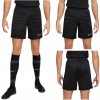 Nike Dri-FIT Academy 23