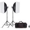 Godox MS300-F sada štúdiových bleskov 2x 300Ws s príslušenstvom