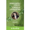 E-kniha Kniha Božej útechy Angely z Foligna - Angela z Foligna