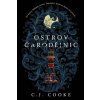 Ostrov čarodějnic - Cooke Carolyn Jess