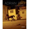 Adrian Paci: Lost Communities - Steininger, Florian