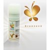 Farba v spreji 50 ml – bronzová - Vola colori