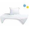 Brotex set Luxus Plus 140x200/70x90 cm celoročný 850 g