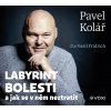 Labyrint bolesti - Pavel Kolář
