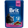 BRIT Premium Cat Chicken & Turkey kapsička 100g