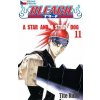Bleach 11 - Tite Kubo