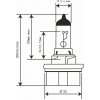 RMS Žiarovka RMS 246510745 12V 35/30W, HS5 biela