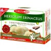 Hericium Erinaceus s rakytníkovým olejom 60 kapsúl