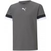 T-shirt Puma teamRise Jersey Jr 704938 13 (85674) Black 152