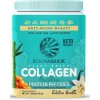 Sunwarrior Collagen Building 500 g - slaný karamel
