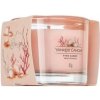Yankee Candle Pink Sands votívna sviečka 37 g